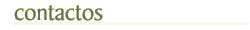 contactos